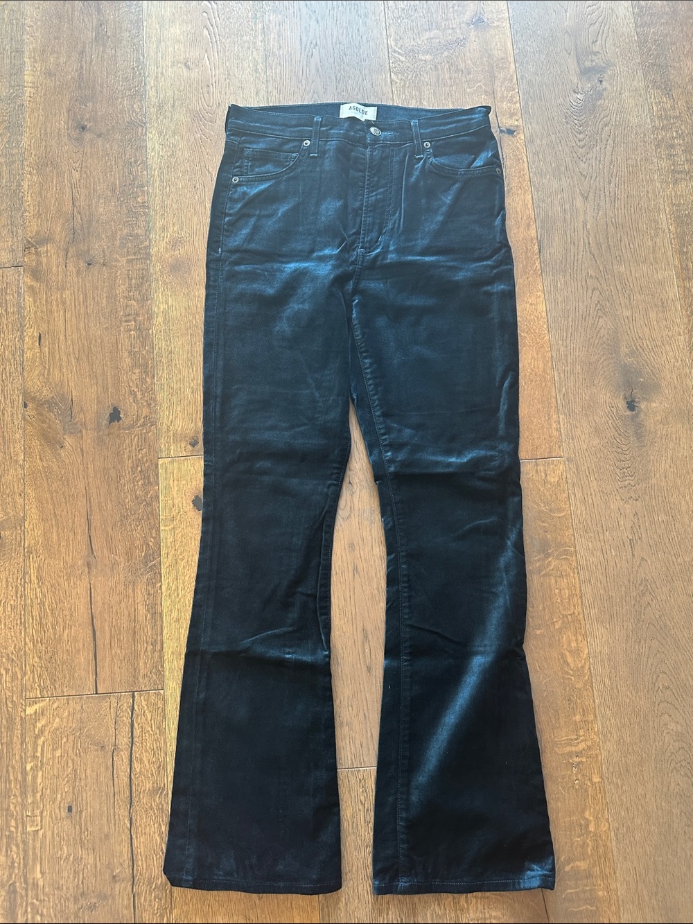 AGOLDE Women's teal velvet pants